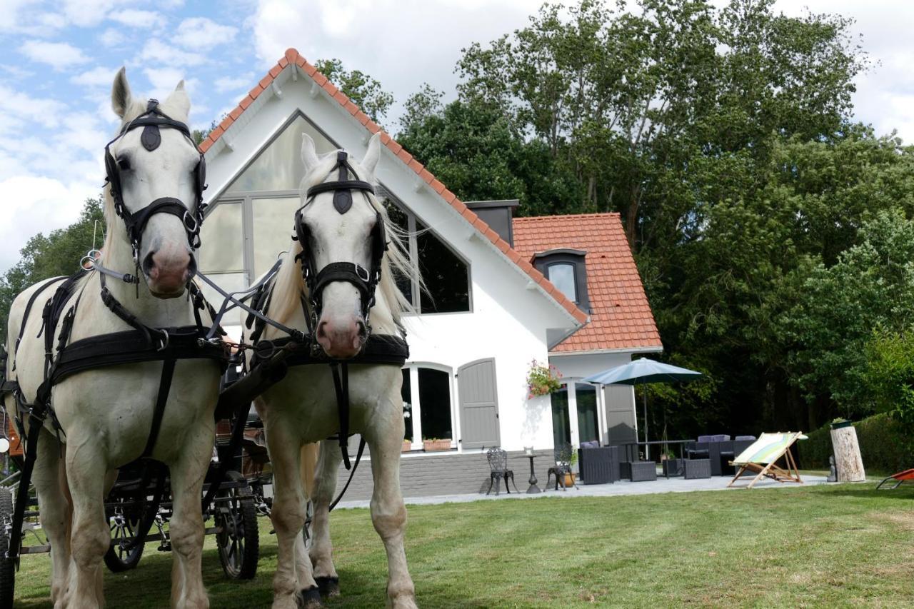 Bed and Breakfast La Garonde Boeschepe Exterior foto